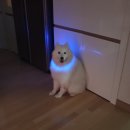 산책 이미지
