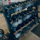 하이바디짐 이미지