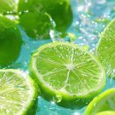 경희으뜸한의원 | 🌿 좋은 한의원, 어떻게 선택할까?– 체질에 맞는 치료부터 진료 후 관리까지