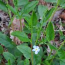 다래산장 민박 이미지