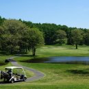 숲속골프 이미지