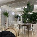 도일리(Doyley) | 일산 백석동 카페 :: 머랭쿠키가 너무너무 맛있는 카페 <도일리, cafe DOYLEY>