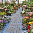 한빛 꽃농원 이미지