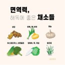 포바디짐 이미지