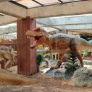 자연사박물관우석헌 이미지