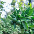 호텔 라운지7 이미지