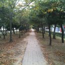 구만우 Daum카페