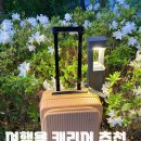주식회사 마스터키 | 예쁜 여행용 TSA캐리어 “큐랑” 20인치 튼튼한 기내용