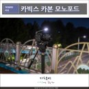 카빅스
