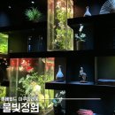 정원월드 - 종로구 인사동5길 25 | 롯데월드 아쿠아리움 물빛정원 주말 내돈내산 방문 솔직후기