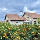 스테이장유7 이미지