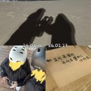 서준활어 | [일상블로그]📌26.02.10~26.02.23