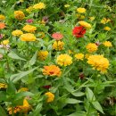 양명여자고등학교 이미지