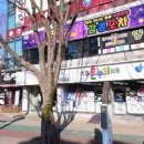 계룡온누리약국 이미지