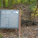 이사주당?유한규묘 이미지