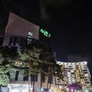 하이원 숙소 정선 메이힐스 리조트 윌로우룸 솔직후기