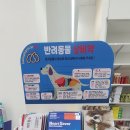 석촌드림약국 이미지