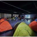 기품태권도 이미지