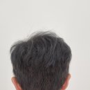 세븐일레븐 강남본점 | 헤어증모술 탑급 실력 거무타 강남본점 후기