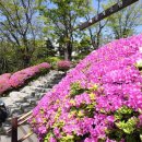 비둘기근린공원 이미지