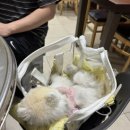 부가네얼큰이성산점