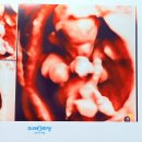 세브란스산부인과의원 | 강남 미래와희망 vs 신촌 세브란스, 대학병원 전원 결심한 5가지 이유 (비용, 주차, 화질 비교)