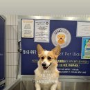 올리스 24(마산) 이미지