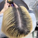 화이트미용실 이미지