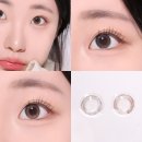 렌즈미 판데이아 그레이 베이지 비교발색 후기
