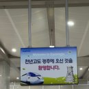 명성양품 | 26.03.27~29 경주 벚꽃 여행🌸 1일차(feat. 계획표)