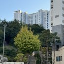 윤블 | [은평, 서대문구] 뒷 산 또는 동산 그리고 백련산 (초보등산러 서울 쉬운 산 추천, 녹번역-은평정...