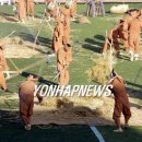 귀리겉보리 농사일소리 연합뉴스