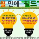 청산골프연습장 이미지