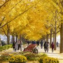 곡교천길 이미지