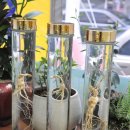 산이랑 바다 이미지