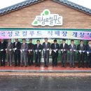 곡성-118 네이버블로그