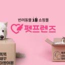 코드펫 이미지