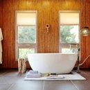 라드라비 이미지