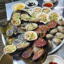 국내맛집:: 여수 오팔공 580 조개구이집