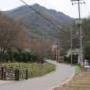 수원-0100 Daum카페