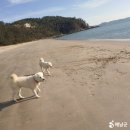 라메르해남 이미지