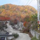 왕소나무집 이미지