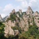 공룡발톱 - 문경시 상신로 7 | 공룡발톱
