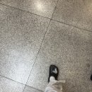 세브란스 자궁내막증 알콜경화술 후기