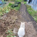 엄마찬스 이미지