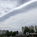 빵구름 이미지