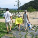 새천년생명의숲 이미지