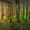 연기대첩비공원 | 세종시 주말나들이 연기대첩비공원