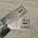 우두산민박 | [거창] 우두산 Y자형 출렁다리 후기