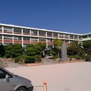 구.울산초 이미지